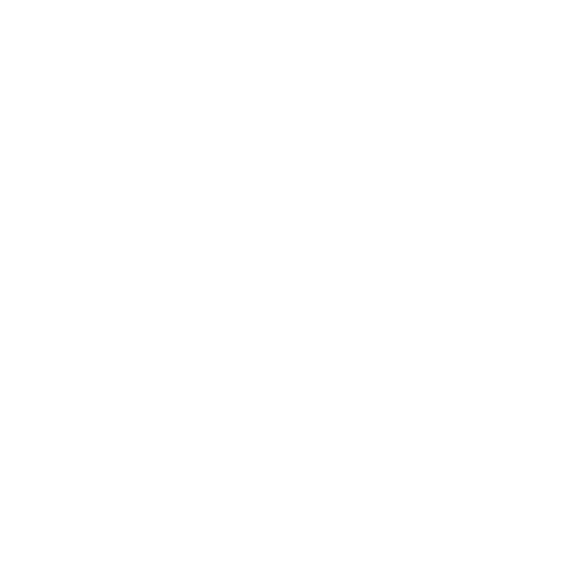 NAVOROS logo